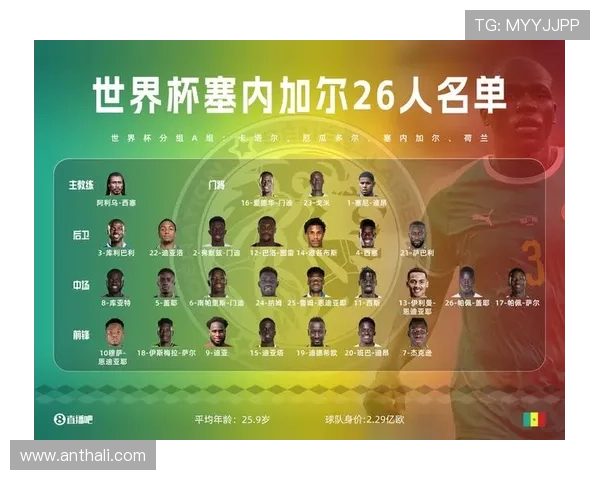 世界杯挪威对阵塞内加尔比赛出场名单详细公布及分析 世界杯挪威对阵塞内加尔比赛出场名单详细公布及分析